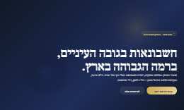 מעוז ושות׳ רואי חשבון, אתר תדמית